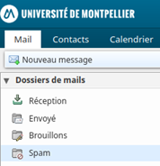 Illustration : Dossier spam zimbra