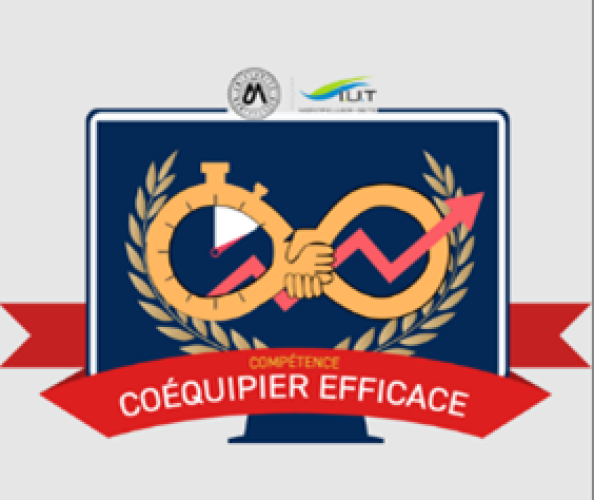 Illustration-article-Open-Badges