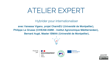 hybrider-internationaliser